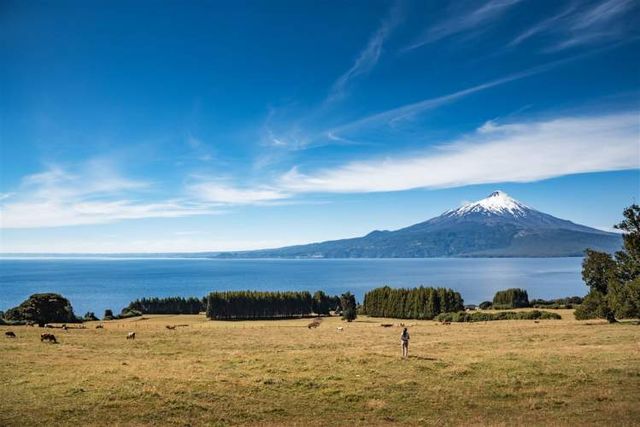 PARCELA Camino a Ensenada KM 32