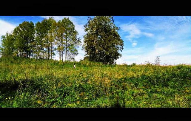 PARCELA Ruta U55 Camino a PUerto Octay, Pichil