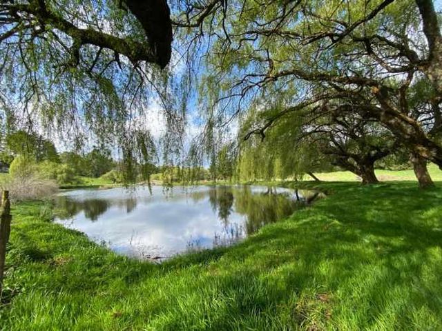 PARCELA Nueva Braunau