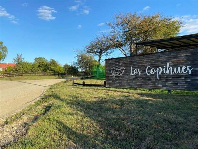 PARCELA Los Copihues, el maiten