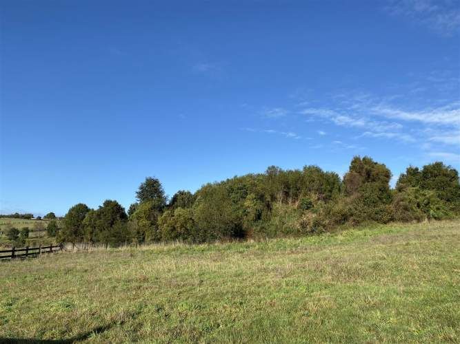 PARCELA Senderos del Bosque