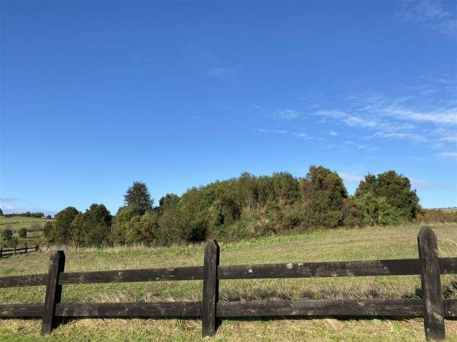 PARCELA Senderos del Bosque