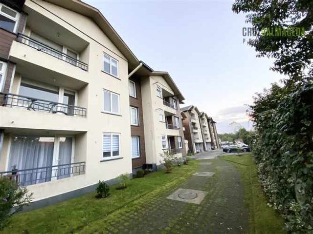 DEPARTAMENTO Alfonso Brintrup