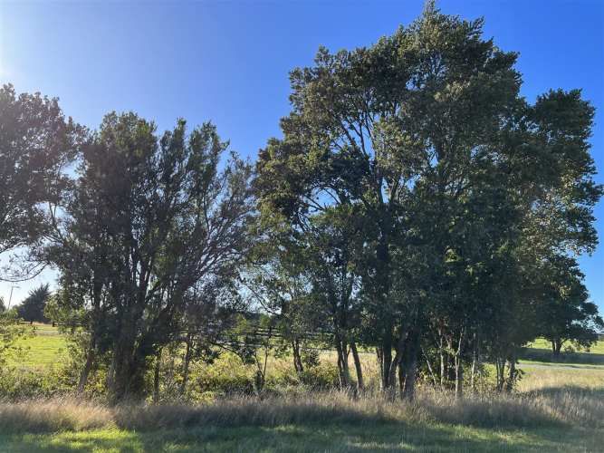 PARCELA Las Tranqueras Etapa 3