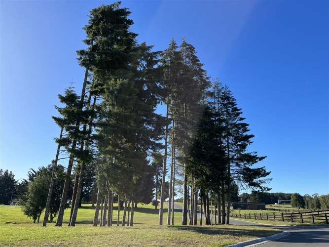 PARCELA Las Tranqueras Etapa 3