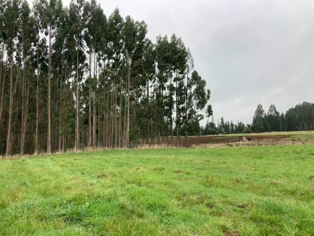 PARCELA Parcelacion Brisas de Puerto Varas