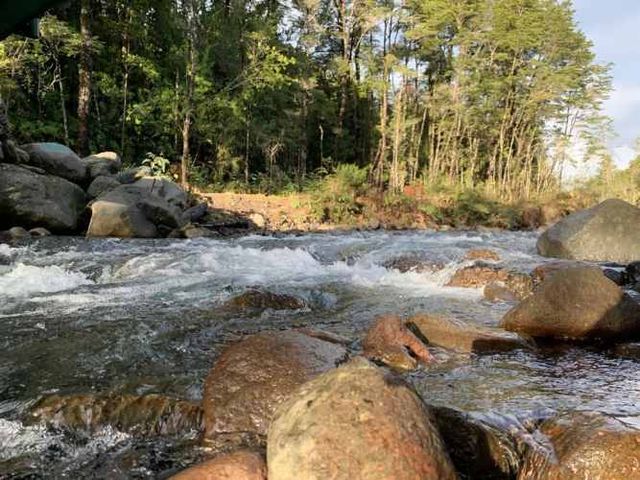 PARCELA Río Pescado, km 18 camino a Ensenada