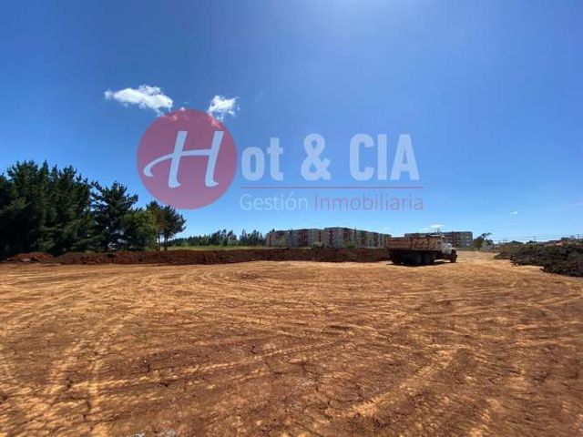 TERRENO CONSTRUCCION Lomas del Carmen