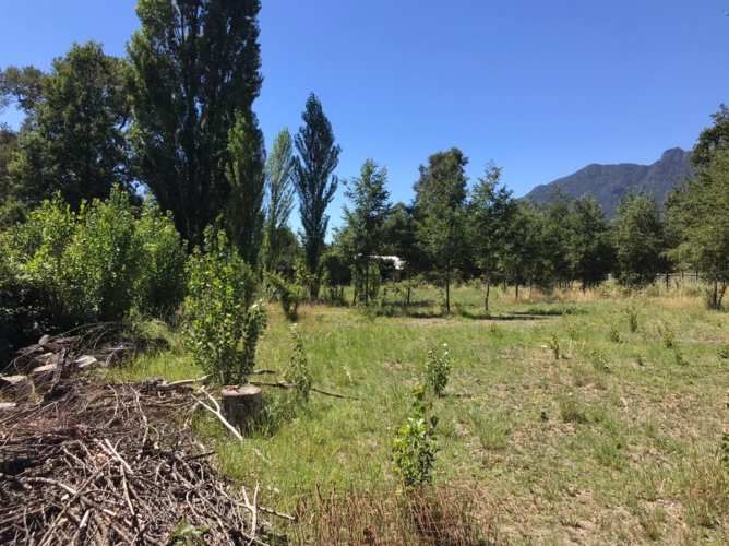 PARCELA Camino Internacional