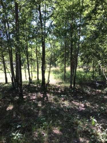 PARCELA Camino Internacional