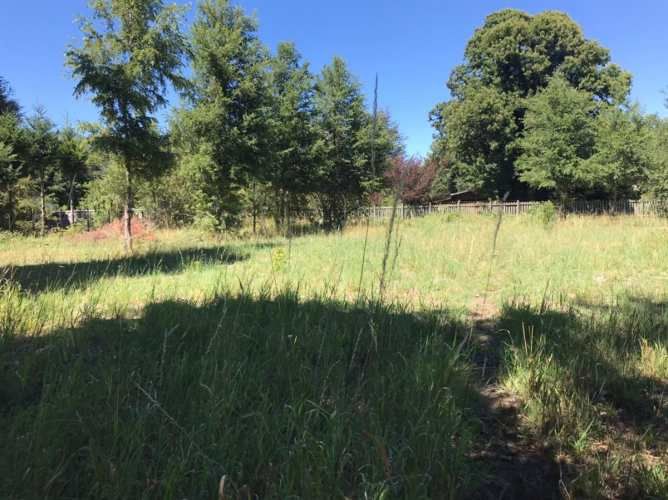 PARCELA Camino Internacional