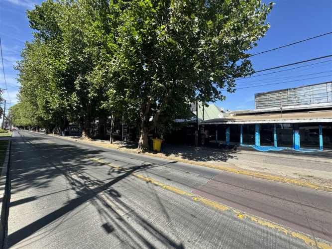 LOCAL COMERCIAL Alemania