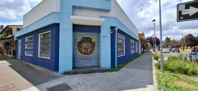 LOCAL COMERCIAL centro