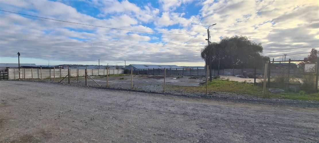 SITIO Avenida Cardonal