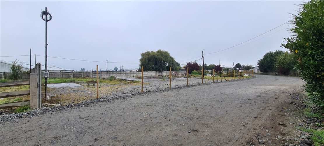 SITIO Avenida Cardonal