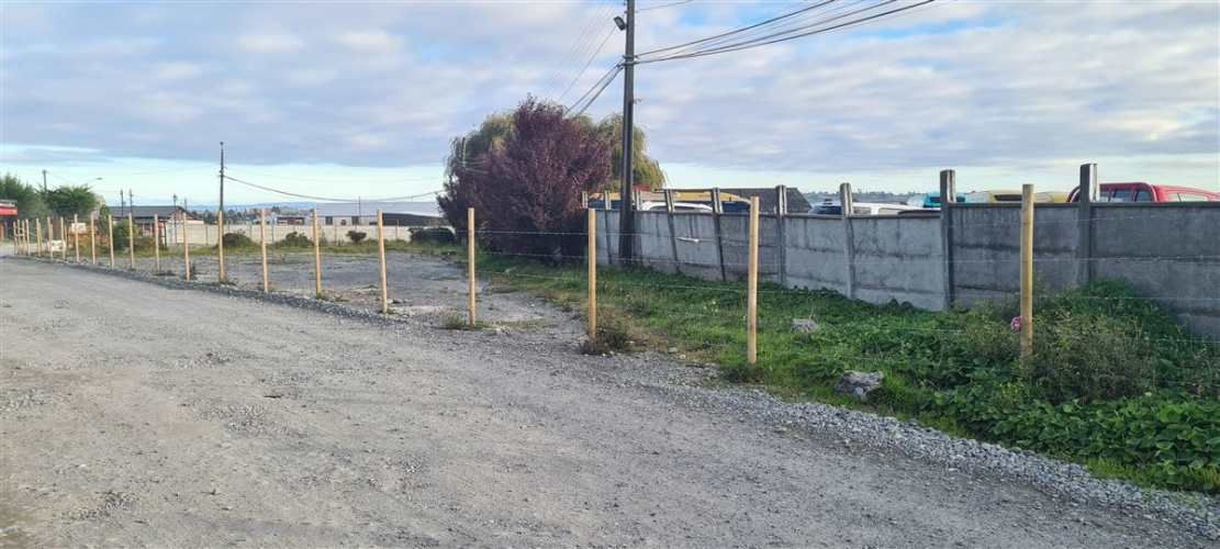 SITIO Avenida Cardonal