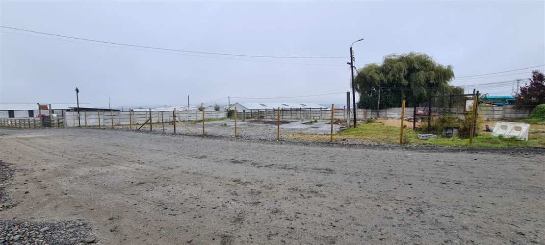 SITIO Avenida Cardonal