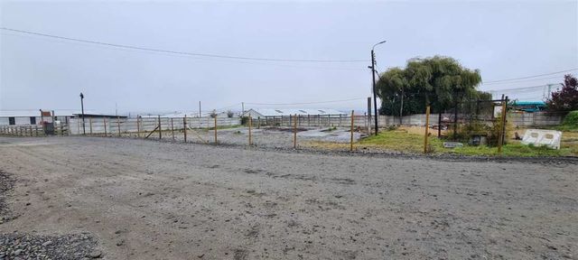 SITIO Avenida Cardonal