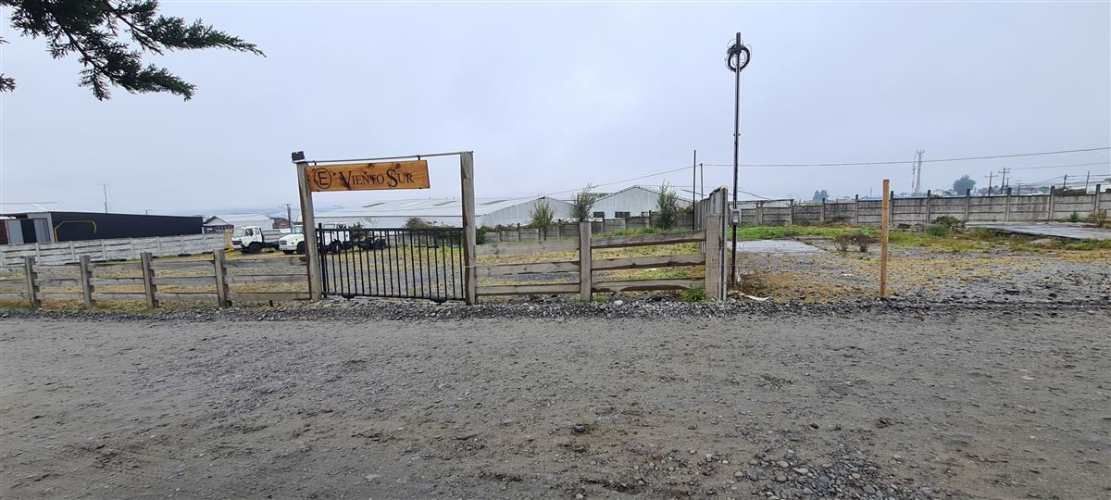 SITIO Avenida Cardonal