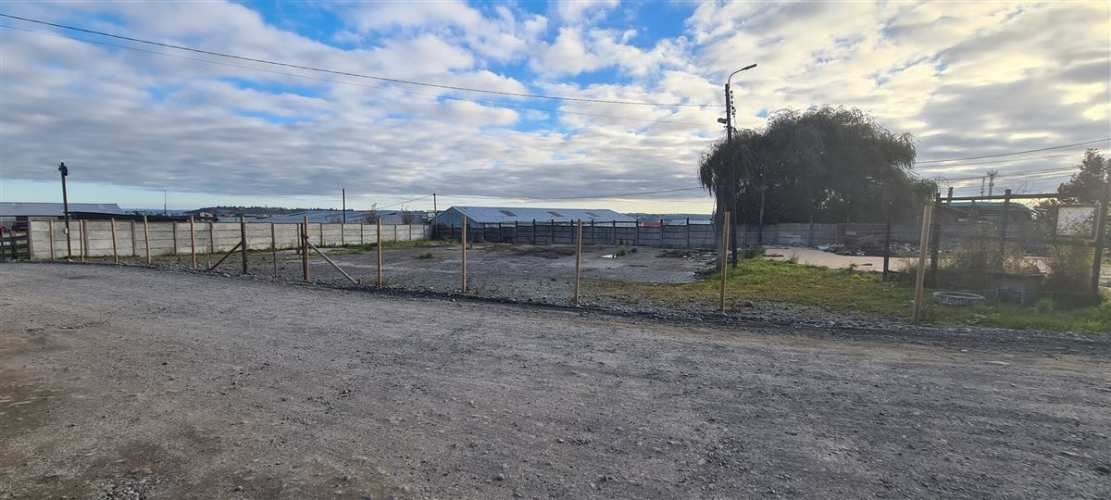 SITIO Avenida Cardonal