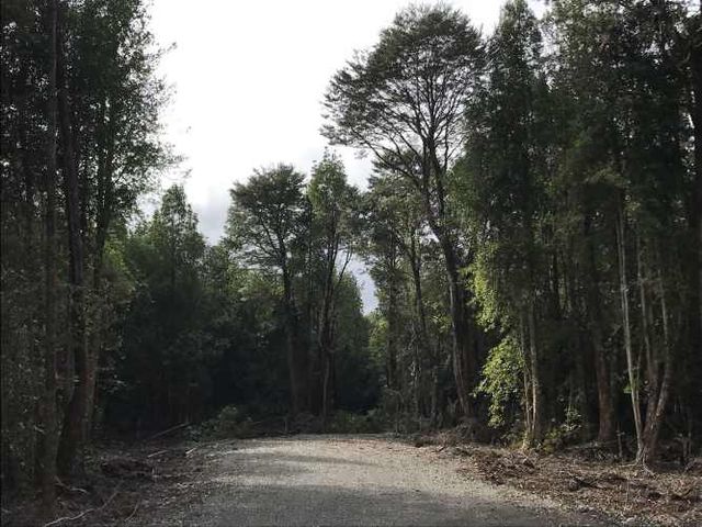 PARCELA Parcelas en Sector Piedra Azul Alto