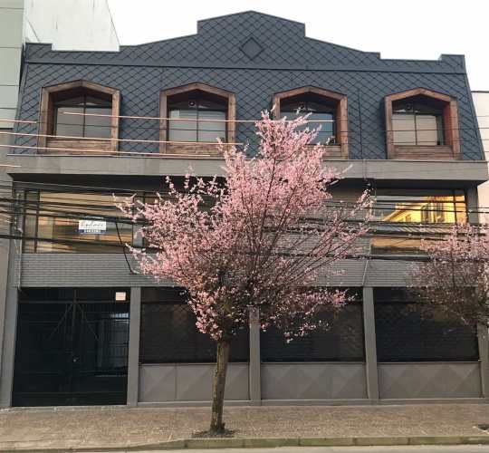 LOCAL COMERCIAL Centro