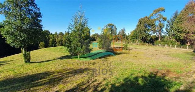 PARCELA Potrero Alto, Valdivia