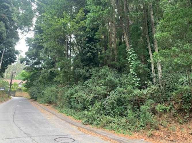 SITIO Precioso sitio de 652 m en cerro La Virgen Concepción