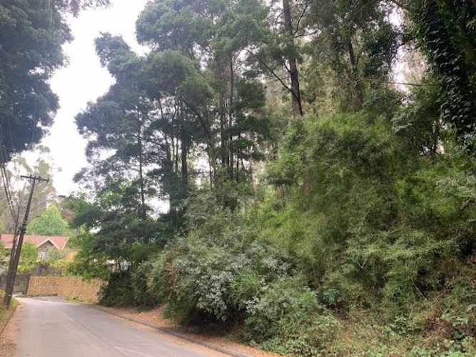 SITIO Precioso sitio de 652 m en cerro La Virgen Concepción