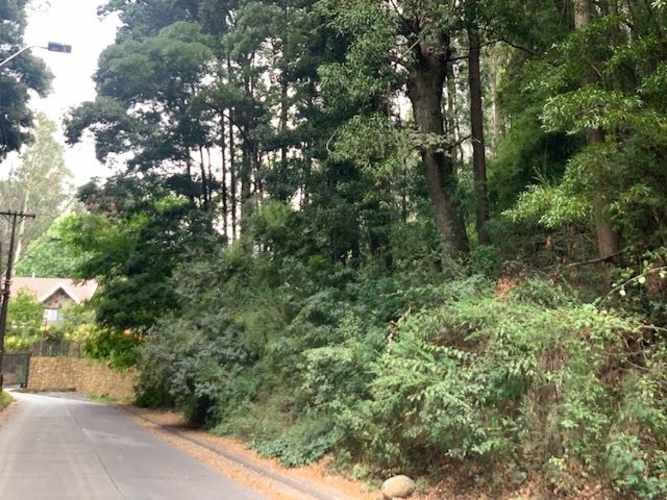 SITIO Precioso sitio de 652 m en cerro La Virgen Concepción