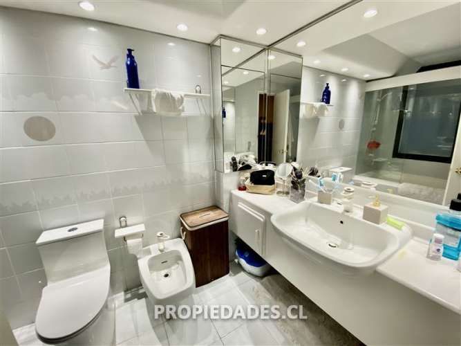 DEPARTAMENTO Presidente Riesco / Benjamín