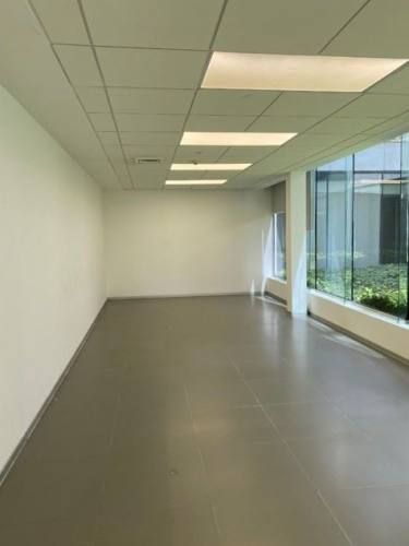 LOCAL COMERCIAL Av. Vitacura - Los Abedules - Costanera Norte