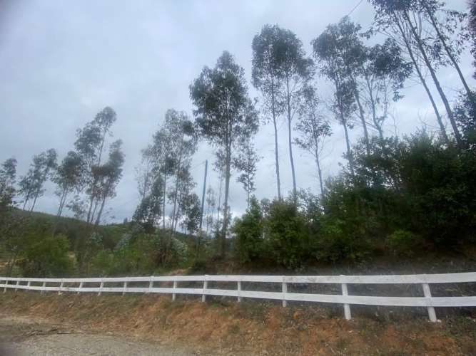 PARCELA Sector Millahue