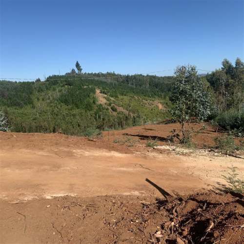 PARCELA Sector Millahue