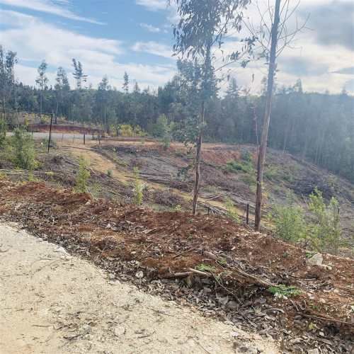 PARCELA Sector Millahue