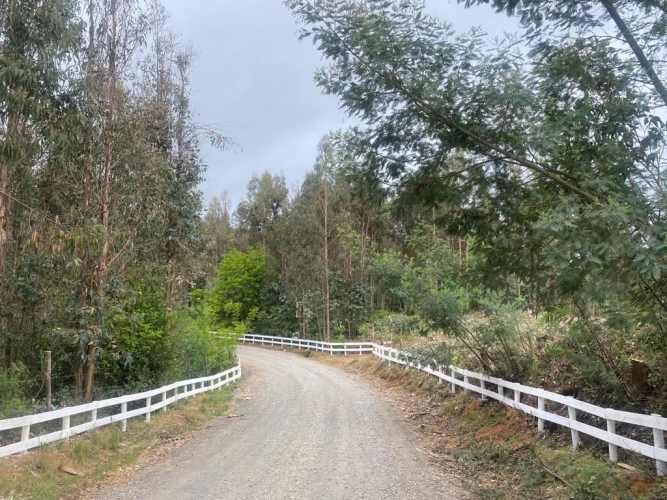 PARCELA Sector Millahue