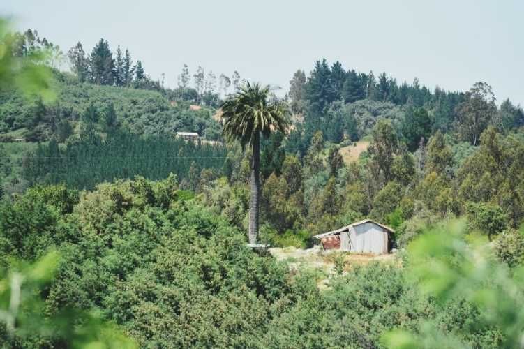 PARCELA Sector Millahue