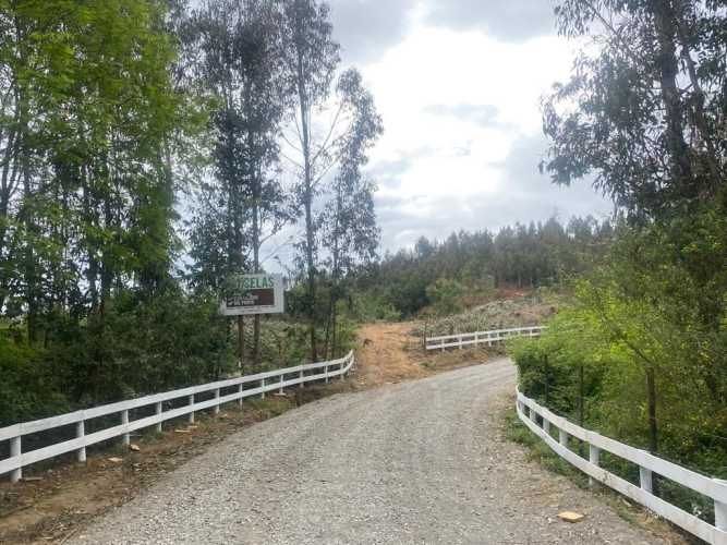 PARCELA Sector Millahue