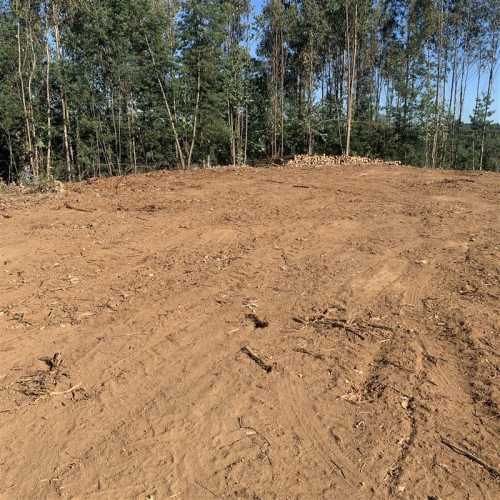 PARCELA Sector Millahue