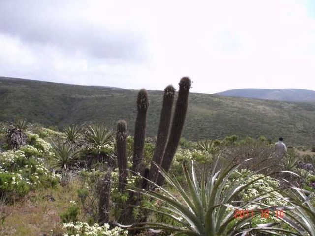 PARCELA Mirador de Talinay I