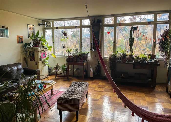 DEPARTAMENTO Ismael Valdés Vergara / Parque Forestal