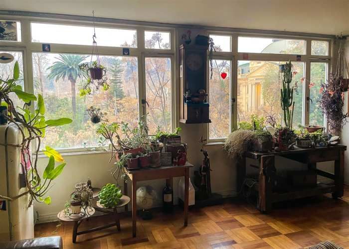 DEPARTAMENTO Ismael Valdés Vergara / Parque Forestal