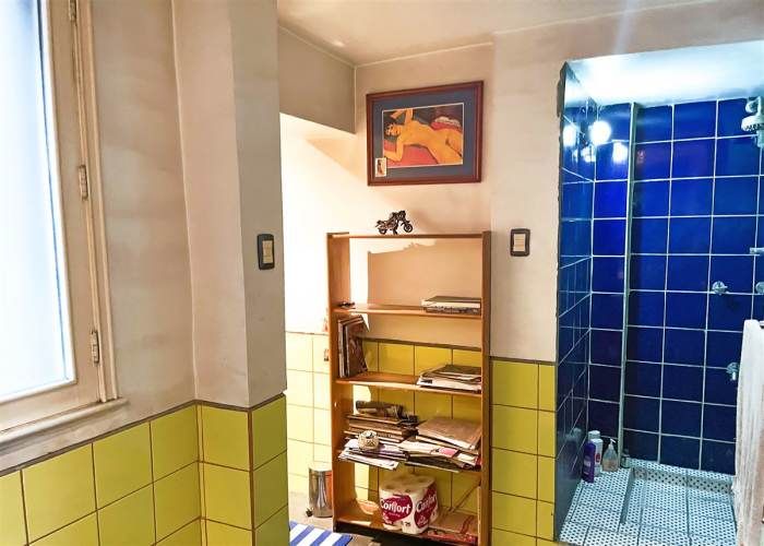 DEPARTAMENTO Ismael Valdés Vergara / Parque Forestal