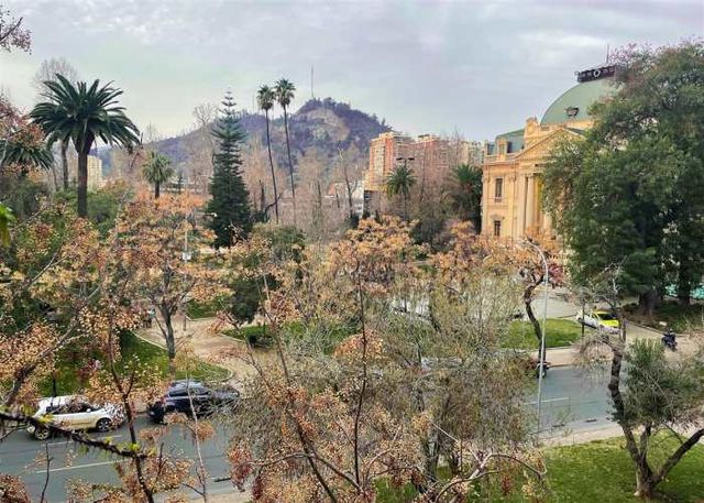 DEPARTAMENTO Ismael Valdés Vergara / Parque Forestal