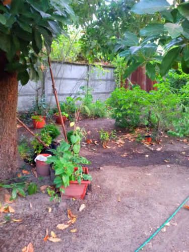 CASA Avda Argentina/Calle Cocharcas