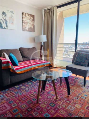 DEPARTAMENTO Mac Iver, Bellas Artes