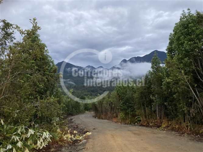 PARCELA Correntoso Fundo Huron