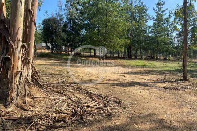 PARCELA Condominio Los Centinelas / Algarrobo