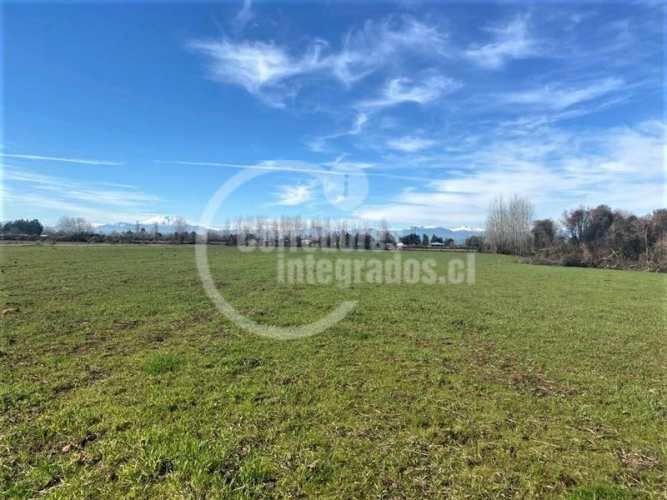 AGRICOLA Villa Rosa, Parral