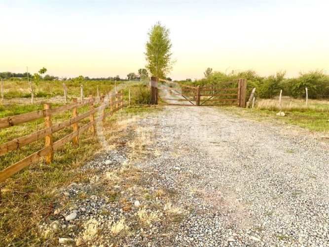 AGRICOLA Villa Rosa, Parral